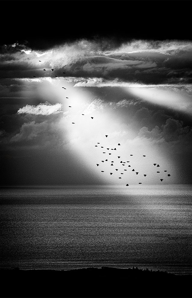 light shining between the cloud casting a light onto a flock of birds flying over the ocean