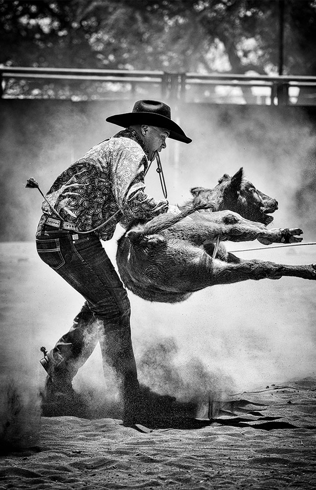 cowboy handling a bull in the ring