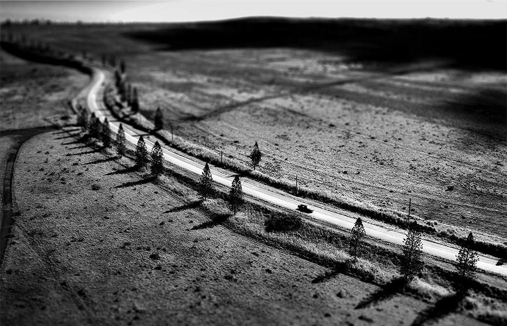 a winding road in the middle of nowhere lined with trees